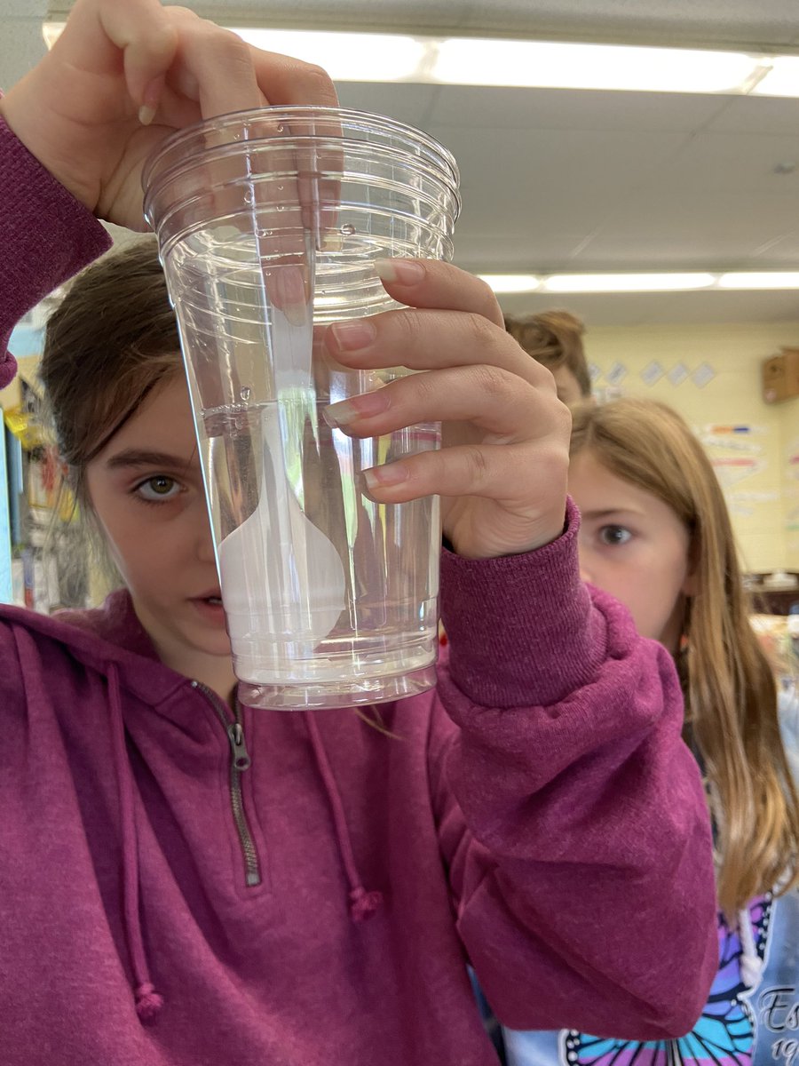 Deb58201864's tweet photo. Do you know if sugar dissolves faster in warm water or cold water? These awesome 5th graders found out today! 🫵💦🌏 @melandyk @JOlsyn1109 @MtView07836 @ZywickiR https://t.co/xyAnA0mqfV