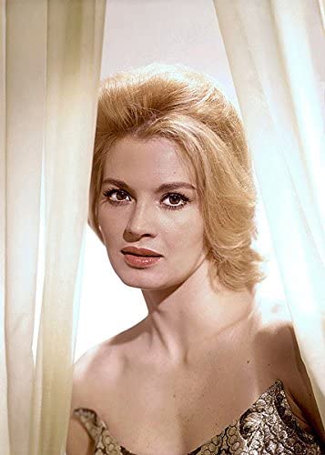 cinefilo50's tweet photo. La talentosa y"chica bonita"de Angie Dickinson conquisto a #Hollywood y ello le permitió co-estelarizar filmes A_1,entre 1956 a 1981.
Para posteriormente asumir roles secundarios,dejando 
la actuación en 2009
Un éxito,la tvserie"Police Woman"(1974-78)
Ayer #30DeSep cumplió 91años https://t.co/YpYu5T3leE