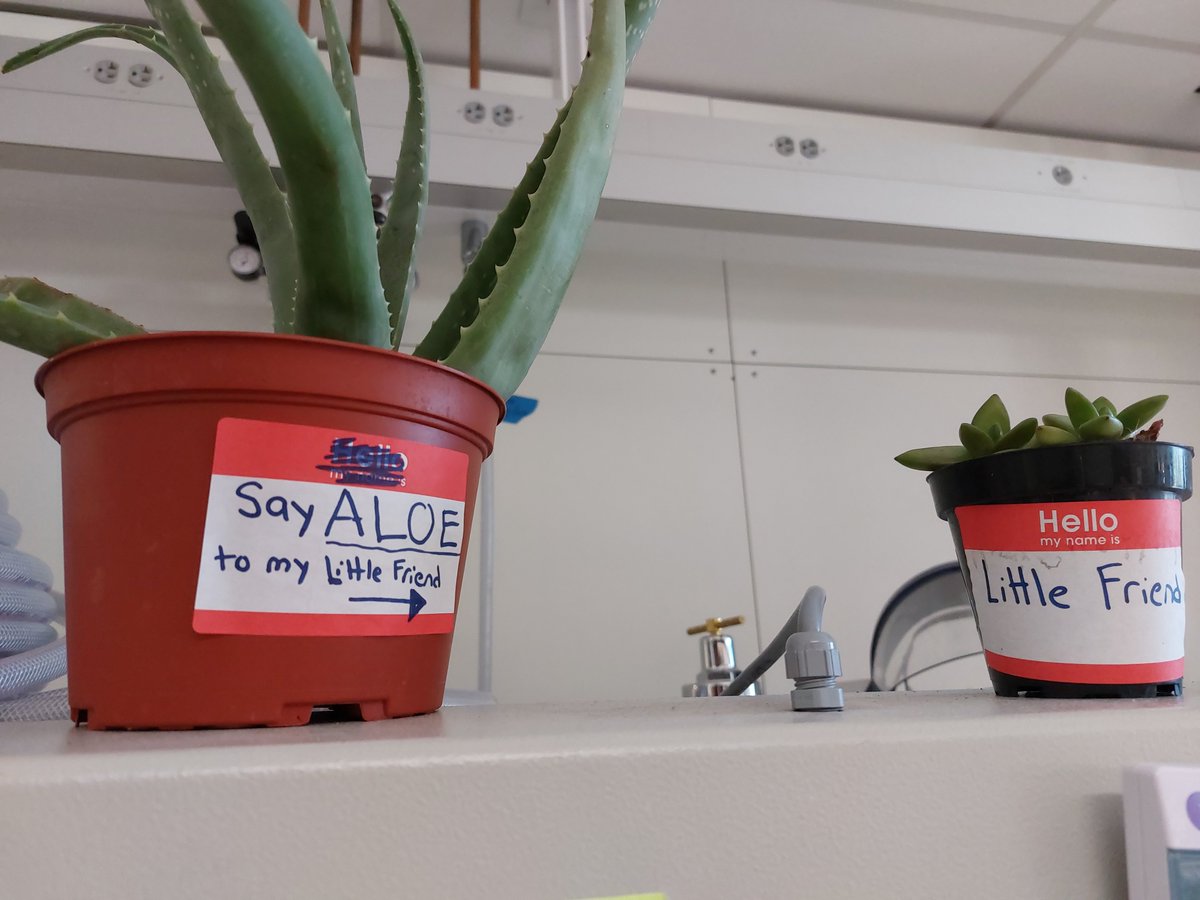 kerkovius's tweet image. We have fun here