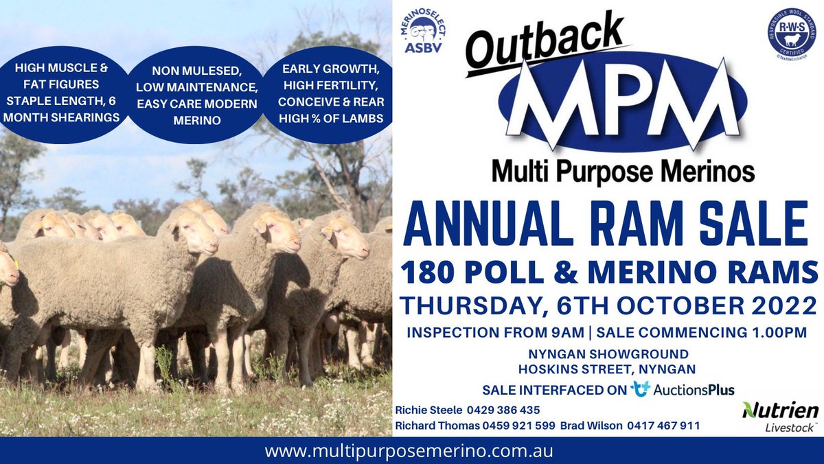 Richie Steele - Outback MPM (@outbackmpm) on Twitter photo All the Sale info you need is available on our website multipurposemerino.com.au
Final catalogue is almost ready to go 👍 All the Sale info you need is available on our website multipurposemerino.com.au
Final catalogue is almost ready to go 👍