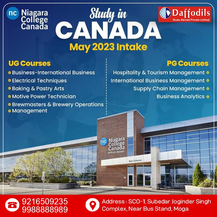 DaffodilsMoga's tweet photo. Study in CANADA
May 2023 Intake!
To Know More
📲Consult With Our Experts #Daffodils_Moga
☎️ +91-92165-09235, 99888-88989
🏢 SCO-1, Subedar Joginder Singh Complex, Near Bus Stand, Moga (Punjab) 
#visaconsultants #studyinuk #educationconsultant #internationalstudents #studyabroad https://t.co/SIw9yWN7g4