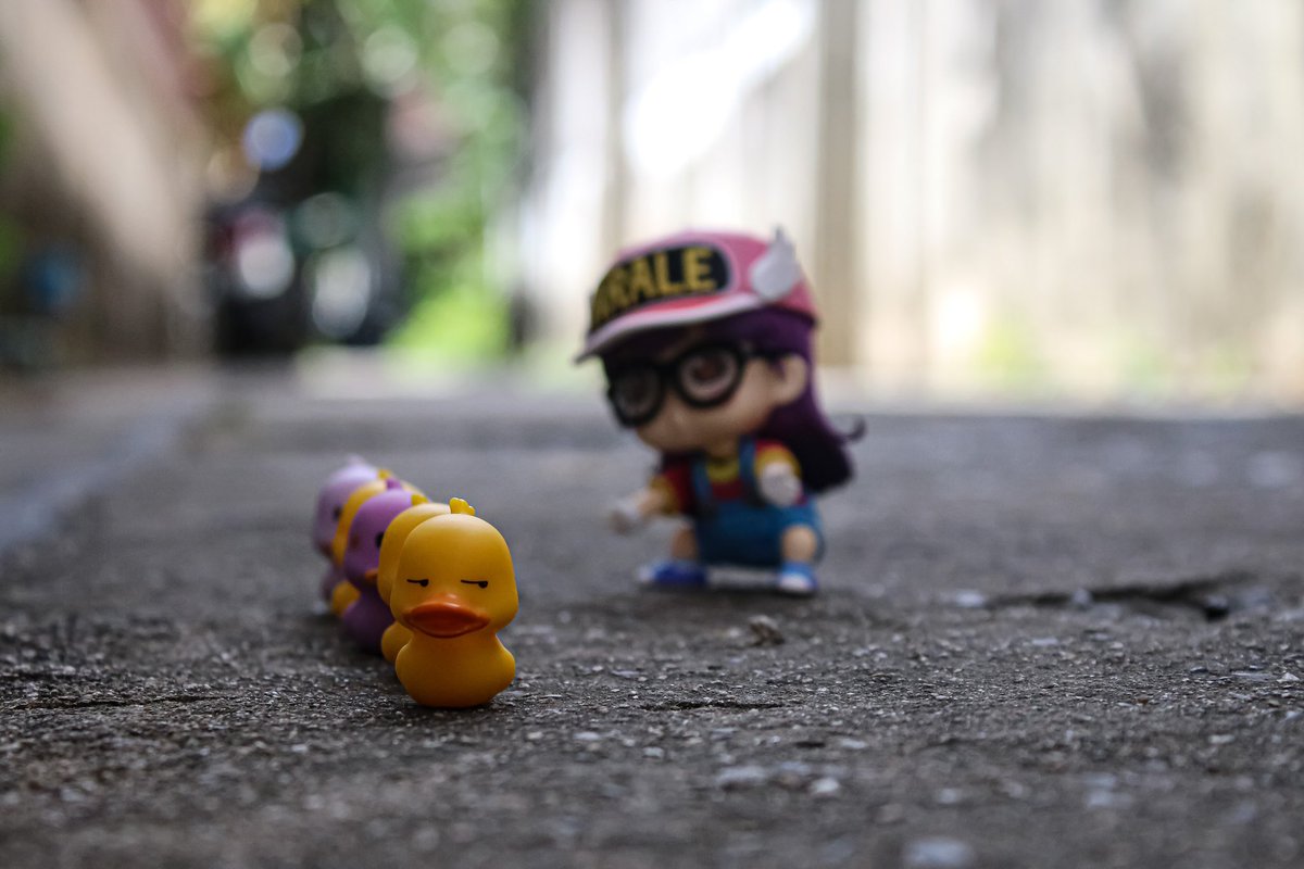 Avatar_Tears's tweet photo. Go Go Go!!! #doll #camera #canon #canoneos #duck #colorduck #canoneos600d #canonthailand #figurethailand #dollphotography #figure #arale #nendoroid #eos600d #nendoroidthailand #travel #traveler #photography https://t.co/1UBuCZUPUn