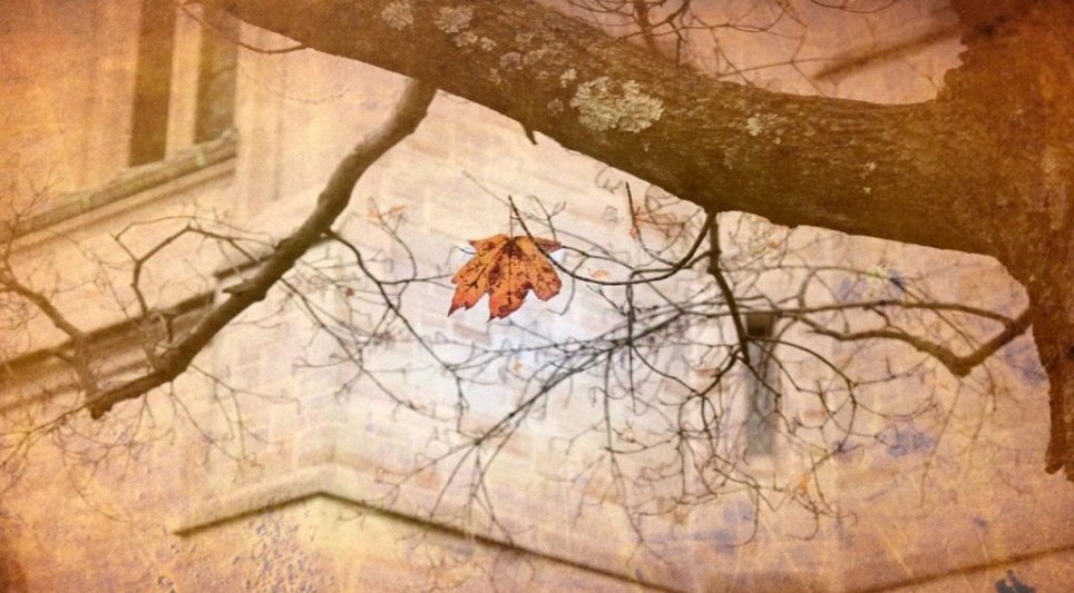 م. امید tweet media