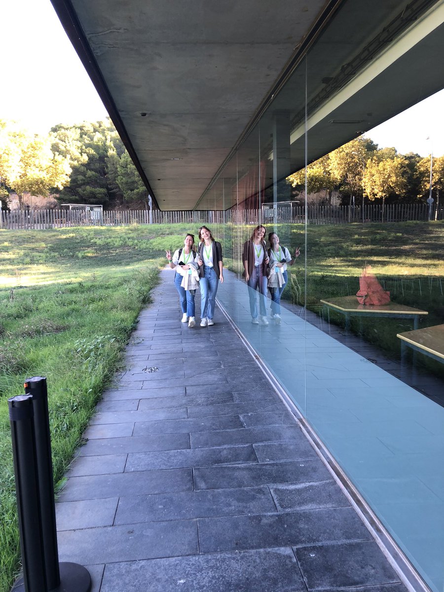 margalef_bcn's tweet photo. Starting the 2-day retreat of the #RMSC2022 at the @IBB_botanic . Let the ideas flow 🧠 😊 https://t.co/kPbHOUawsP