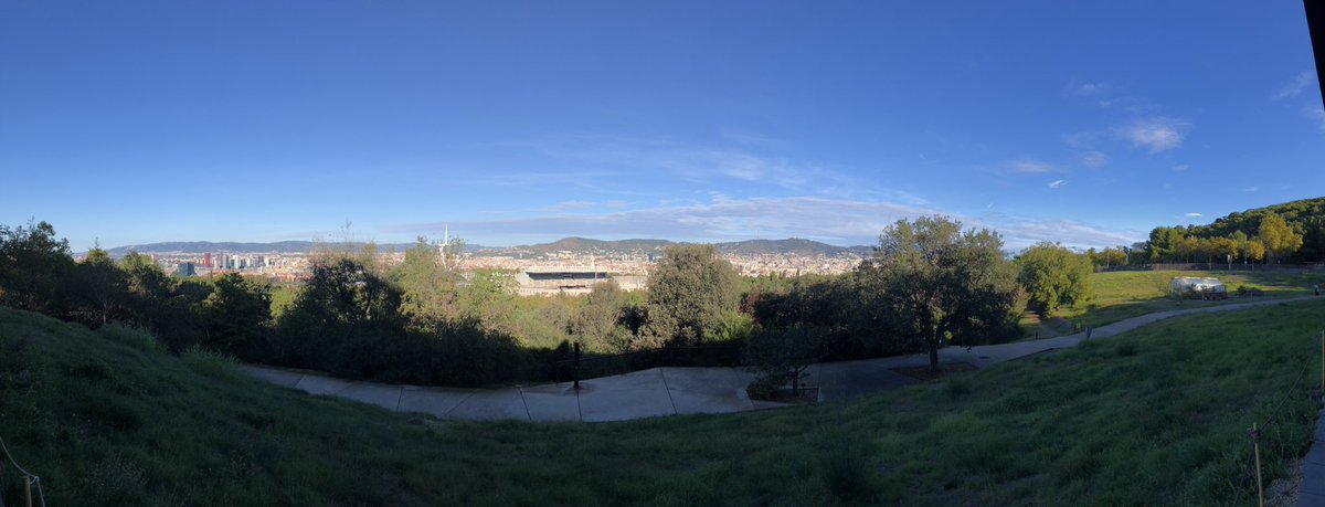 margalef_bcn's tweet photo. Starting the 2-day retreat of the #RMSC2022 at the @IBB_botanic . Let the ideas flow 🧠 😊 https://t.co/kPbHOUawsP