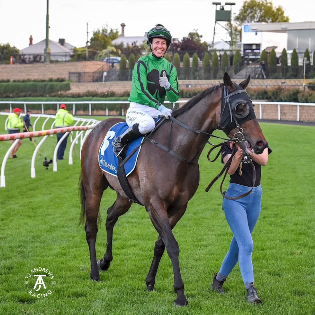 Smiles all round after the smart victory of I Am War on Friday night <a href="/TheValley/">Moonee Valley Racing Club</a>  - winner of his last three starts in fine style…