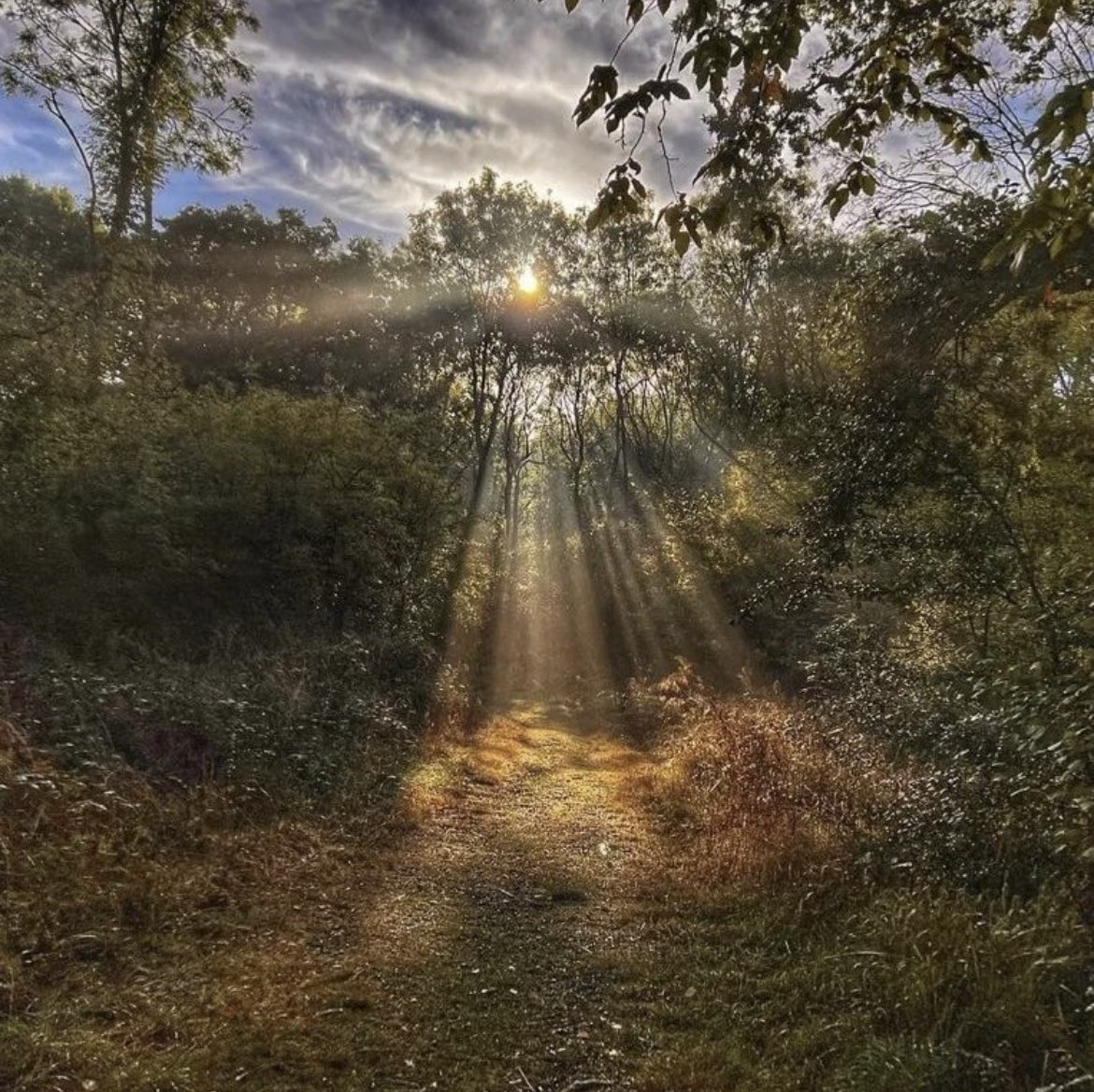 Announcing #AntonyPachala as the winner of the Best of September public vote on our Instagram account! #LoveMKthep