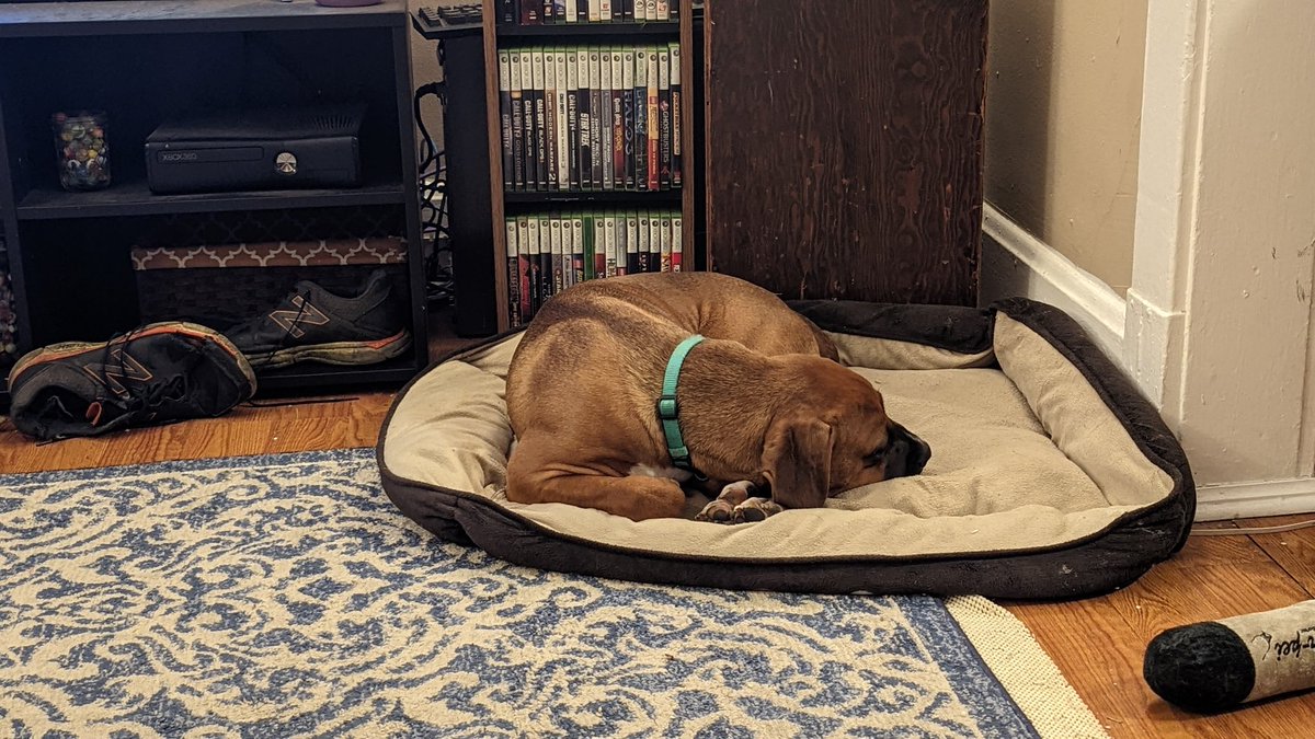 marinetuner's tweet photo. This puppy is getting bigger by the day!! https://t.co/4doPG9fl2A