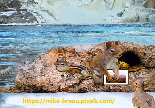 mike breau (@breau_mike) on Twitter photo New artwork for sale! - "Amazing Animal Insights" - fineartamerica.com/featured/amazi… <a href="/fineartamerica/">Fine Art America</a> New artwork for sale! - "Amazing Animal Insights" - fineartamerica.com/featured/amazi… <a href="/fineartamerica/">Fine Art America</a>