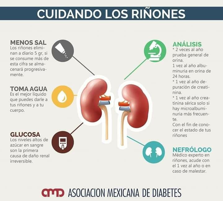 PilyGallard's tweet photo. @ENFERMEDADRC  Informar a la comunidad es proporcionar herramientas para el mejor cuidado de su salud https://t.co/ze7A52eJle