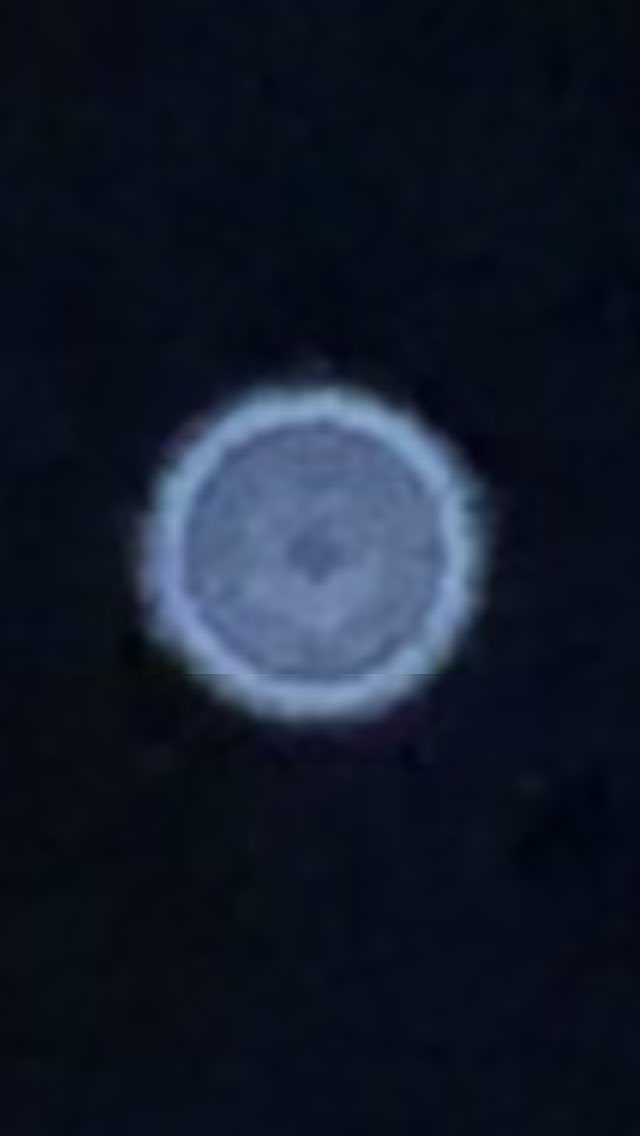 mizue_jazz's tweet photo. 昨夜撮りました。東の空に一つだけ輝いているこの��はシリウスなのですか?それとも?木星?教えて頂ければ嬉しいですが…#秋の夜空 #東の空 #Jupiter #Cirius https://t.co/bd7PQFycNE
