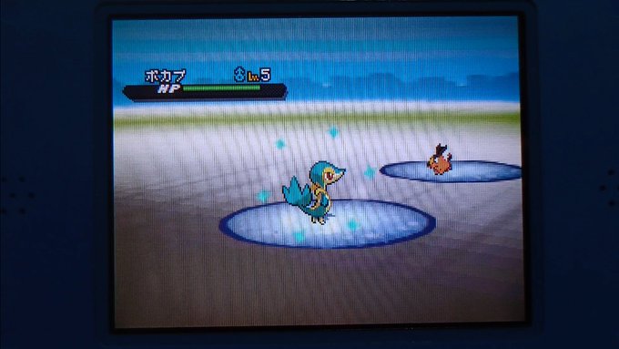 ポケットモンスター ブラック2