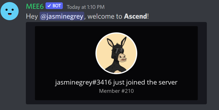 Very happy to have you onboard <a href="/jasminegreyx/">Jasmine Grey</a> hope you enjoyed the alpha! ❤️

#womeninnft #yasqueenslay
