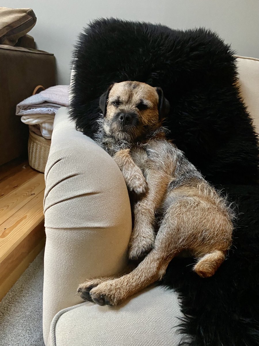 RuffralphT's tweet photo. Hope you ⁦@Twitter⁩ guys are good. Think I’ll be chilling here most of the day xx #btposse https://t.co/LpkIwjF07l