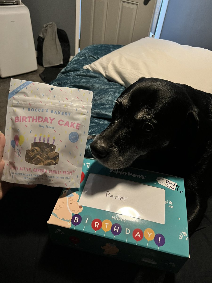 fobismine's tweet photo. happy 11th birthday to the best puppy! 🫶🏼💖 https://t.co/sTKOSTOT67