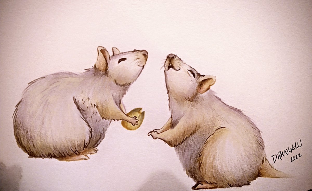 DrangeluLu's tweet photo. OCTOBER 🍂🍁🎃🌰🍄🕯🐁
Sharing this lirl drawing with Brisby🐀
Thank you @thebeanbaguette for hosting the #rattober
Day One #goodrat

#rattober2022 #ratartist #cuterats #rodents #roedores #sketchbook #copicmarkers #petrats https://t.co/RZRMNyI0e7