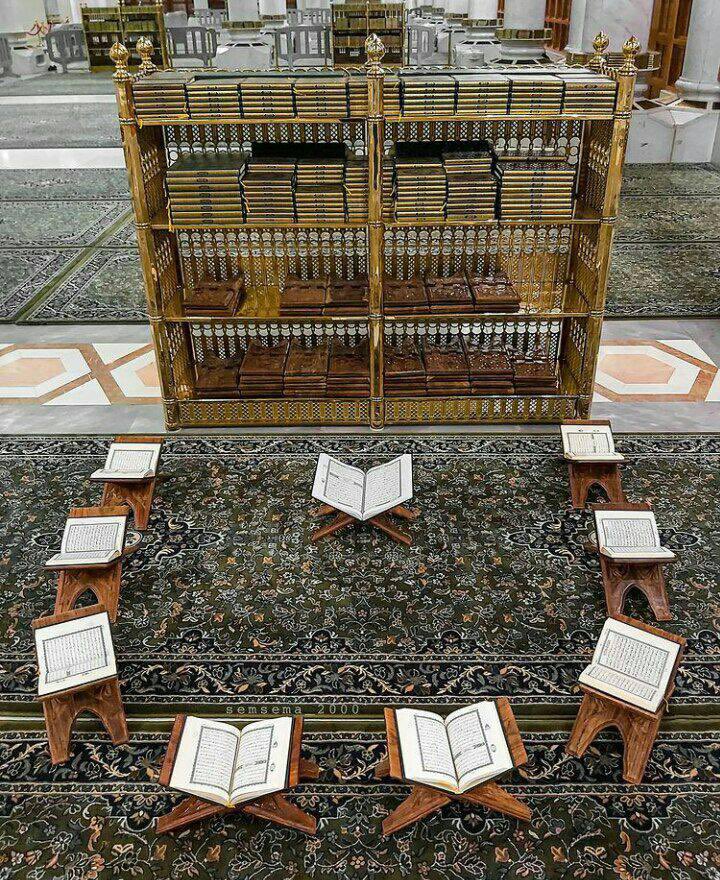 "على كل من يلازم حلقات القرآن مراجعةً وتعلمًا وتدبرًا، أن يجدد بداخله الفرح والرضا بأنّ الله ساقه من بين ملايين البشر إلى هذه المحاضن، أن يشكر الله على هذه النعمة، ويدعو الله أن يكون ممن علم فعمل بما علم".     #صباحكم قرآن❤️🌹