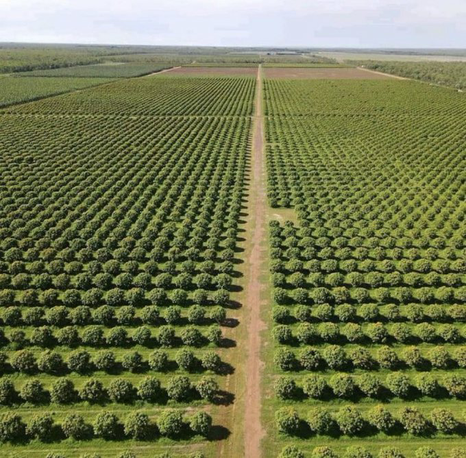 ModernAgUpdates's tweet photo. Nice weekend! If you are interested in agriculture, like and retweet! https://t.co/MvSrfAUwMu
