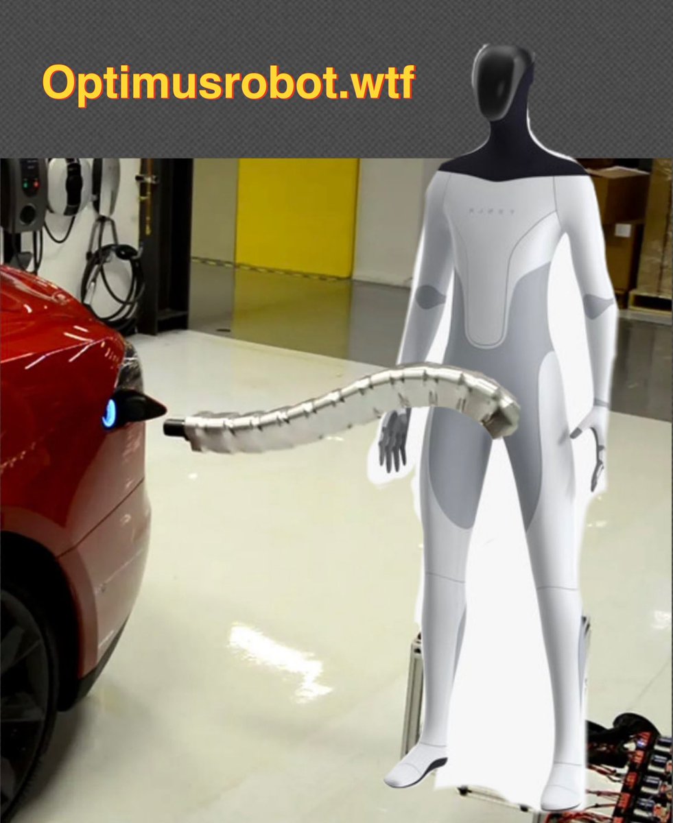 @teslaownersSV @elonmusk #Optimusrobot