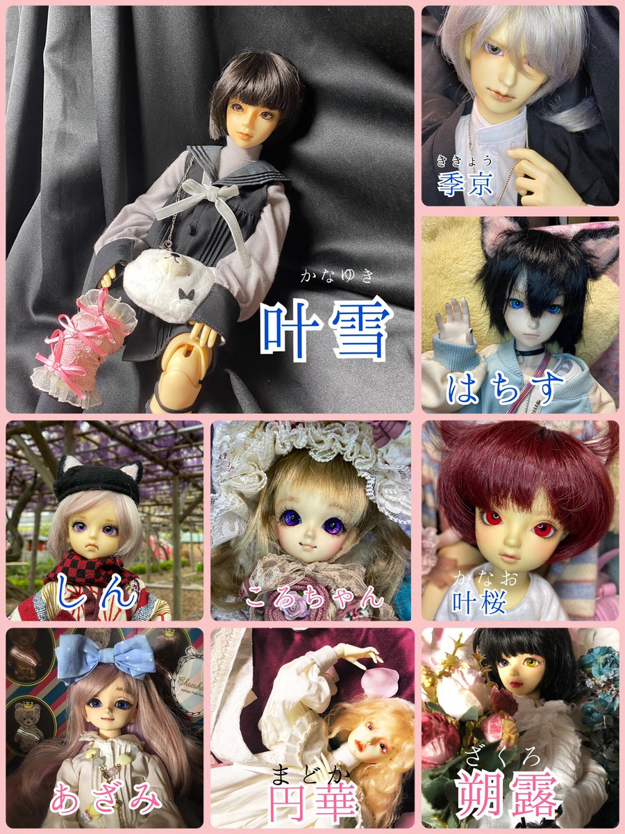 Sakuyomi_C402's tweet photo. 【固定】
ドルドルしながらカービィちゃんを愛で、源氏兄弟を微笑ましく見守る審神者であり、Buster宝具で殴る系ぐた子であり、母港で指揮官をしている、日本文化と古き良きものを慈しみ、清く正しく淑やかな人でありたい者です。可愛いものと美しいものが好き。
どうぞ宜しくお願い申し上げます。 https://t.co/AuYjajG4XF
