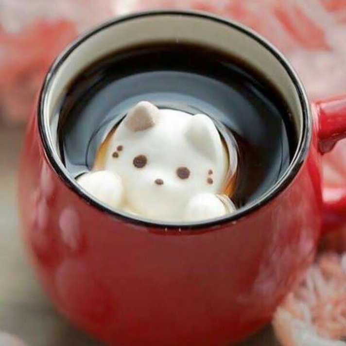 AlyxLopezxyz's tweet photo. A esta hora se me antoja un #deliciosopoderoso y rico café, te invito a tomar un café y vamos a bebernos la vida, lindo día!! https://t.co/PtM0rMKmc1