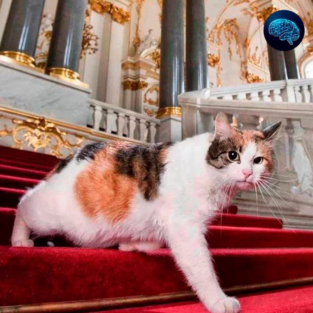 Эрмитажные коты