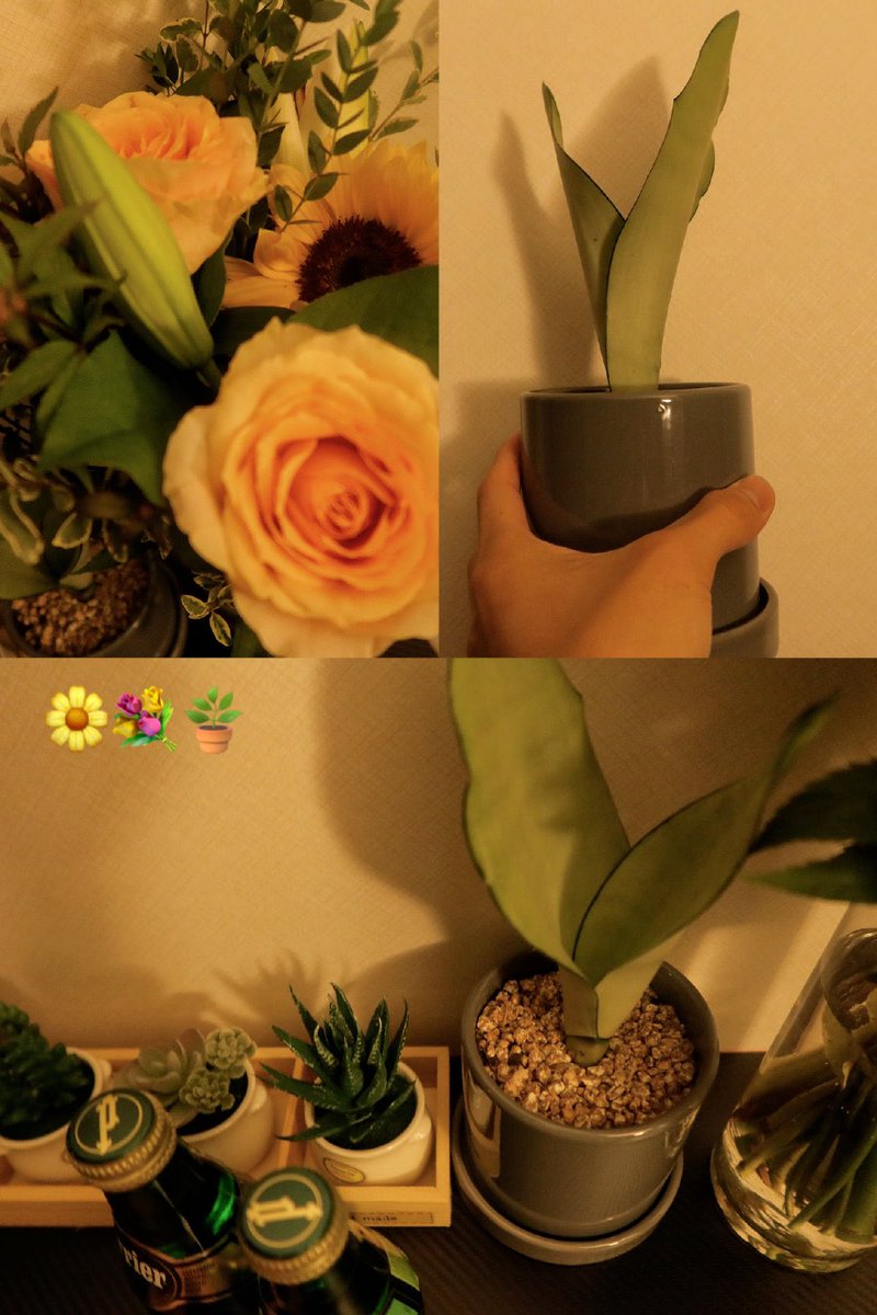 221001 윈윈 웨이보

祝大家假期快乐哦～🌸🍓💛