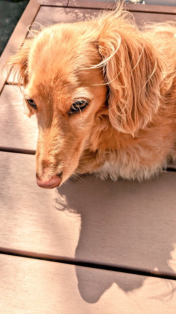 デッキぼっこチャス🍁☀ 