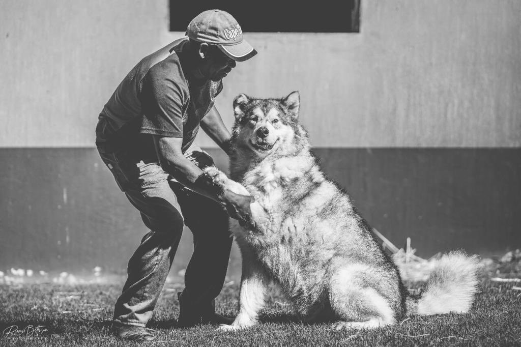 Today marks 21 years at Woodhill Estate. The most prestigious Private training centre in Southern Africa. 
___

We would like to thank our dedicated staff for their unwavering support, love and attention to our beloved equine thoroughbreds.