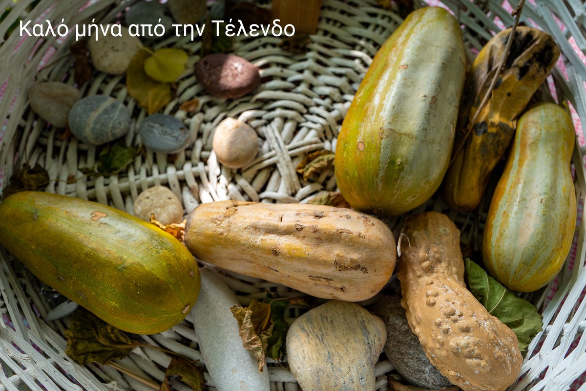 telendos_de's tweet photo. Kαλό μήνα από την Τέλενδο #telendos #kalymnos https://t.co/ueg2jJVHXW