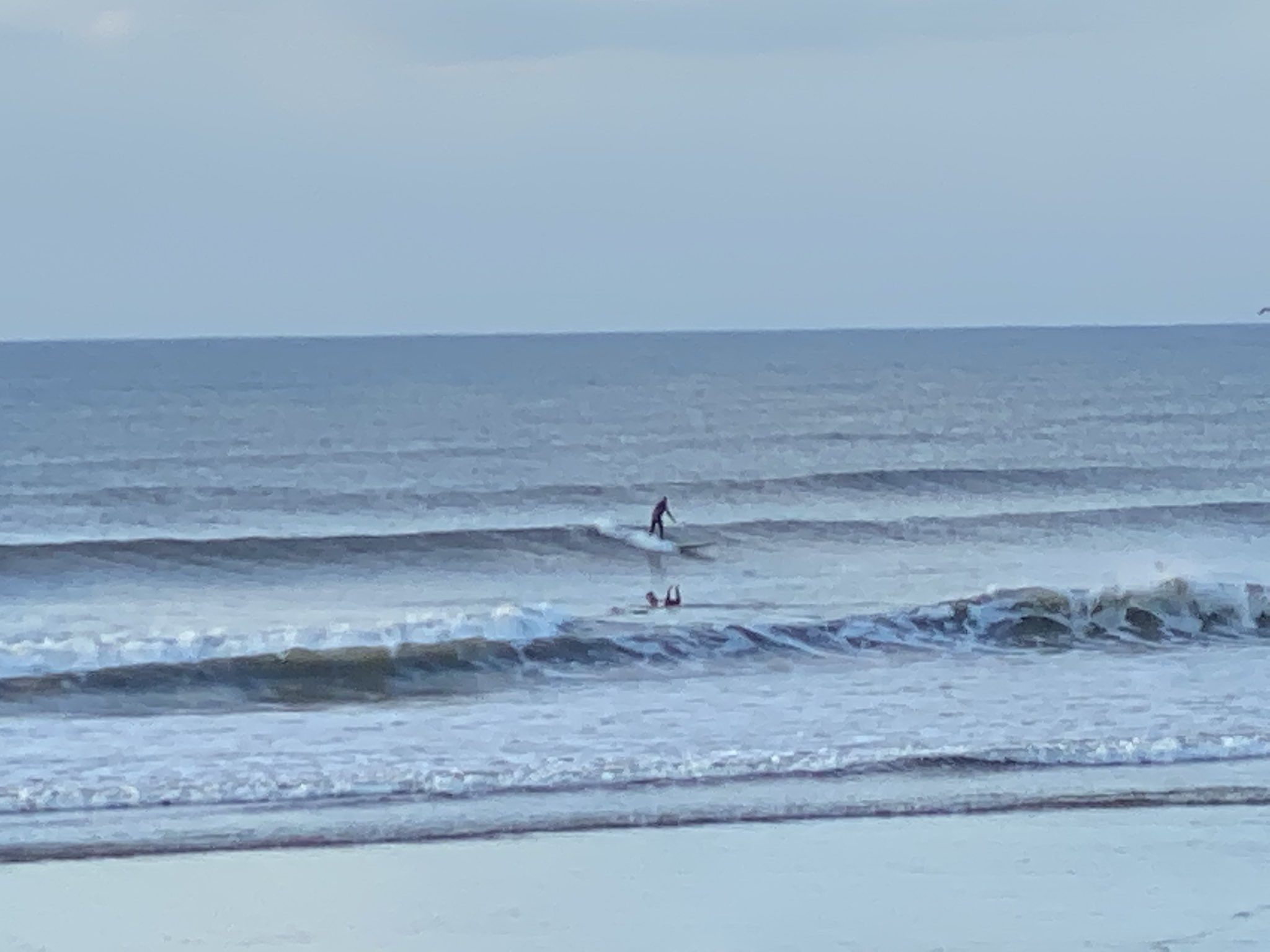 公式超安い 浜松発 Cosmic Energy 2 引取限定 ロングボード 9 6 サーフィン Queencityrunning Com