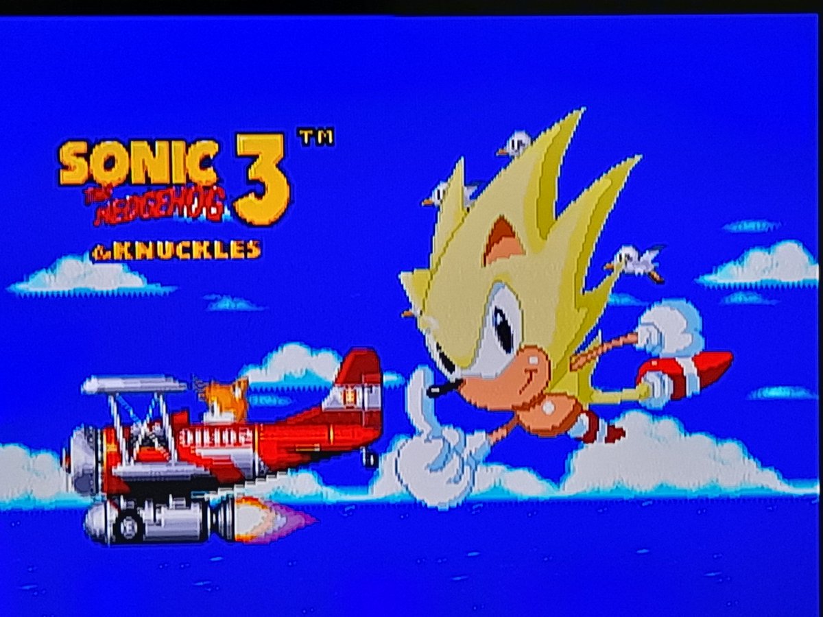 I've beaten Sonic 3 (Or Sonic 3K). Despite some frustrations, I can safely say that it's probably THE best Sonic game. I literally cannot think of a single level I dislike. Some were better than others, but none were poorly designed. This is peak Sonic The Hedgehog.