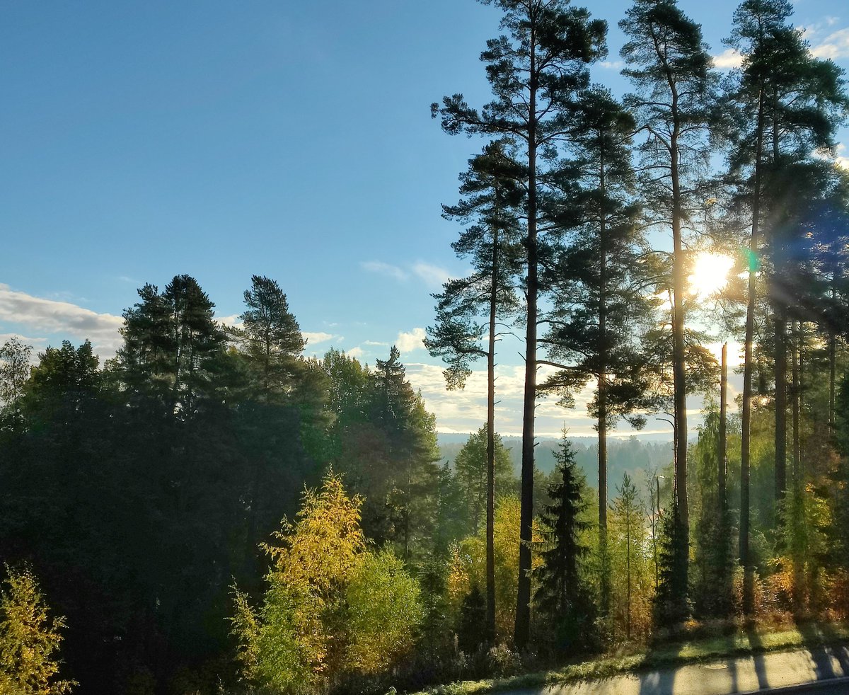 OVerkama's tweet photo. Morning has broken like the first morning
Blackbird has spoken like the first bird
Praise for the singing, praise for the morning
Praise for them springing fresh from the world... https://t.co/ERQKIvIIvd