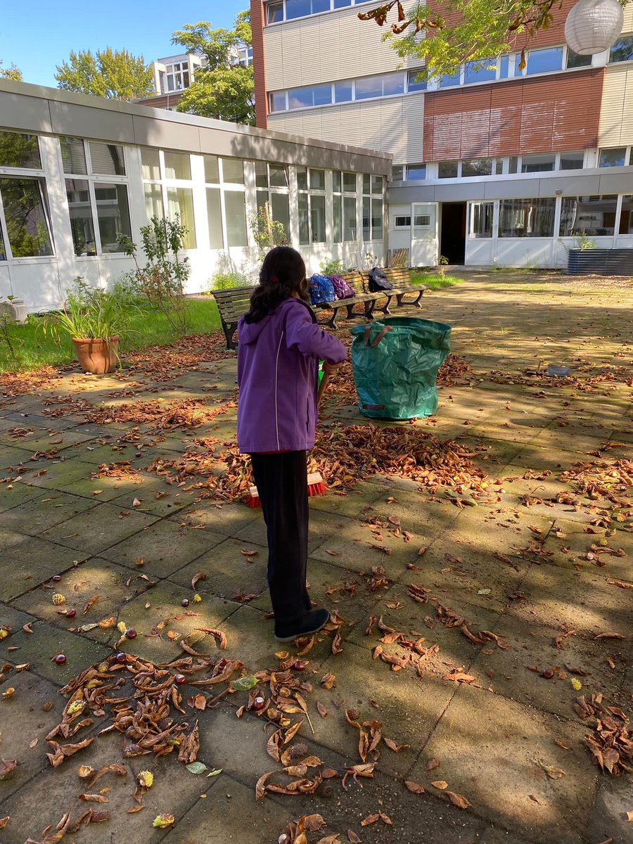 DortmundStg's tweet photo. Der Herbst ist auch langsam in unserem Schulgarten eingezogen… 🍂 Mit den fleißigen Helfern der Garten-AG gehen wir die Kastanien- und Blättermassen in unserem Schulgarten an 💪🏽 Toll, dass ihr unseren Schulgarten auch im Herbst pflegt und zu einem schönen Ort macht. #stgdo https://t.co/isa0aUWygA