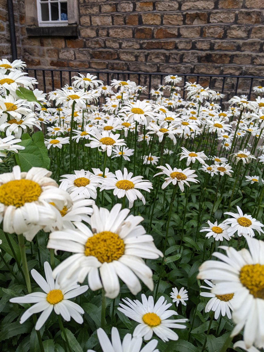 Lancashire Museums tweet media