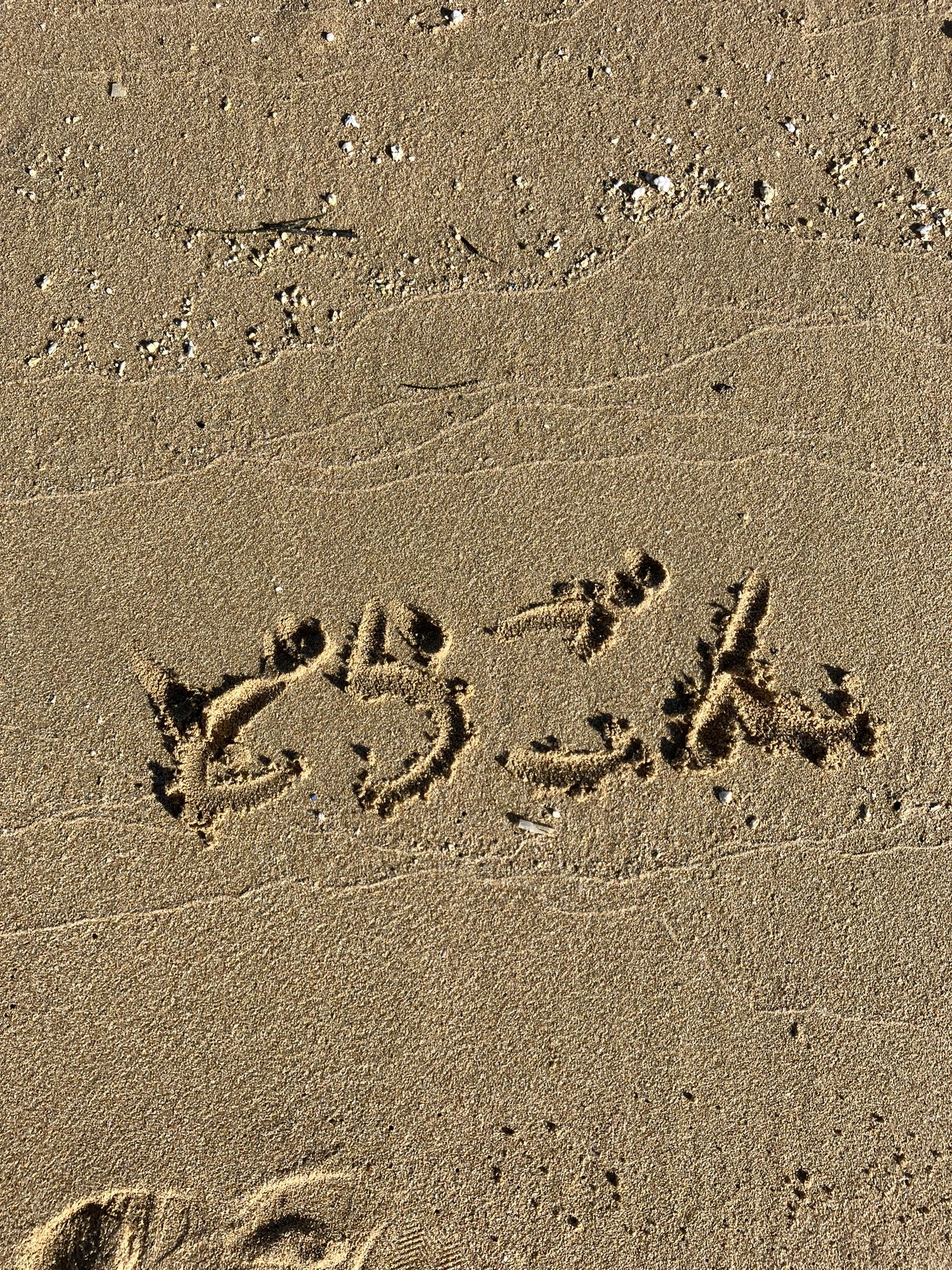 源 竜姫🐉自称フッ軽どらごんVtuber 🍖チョンワァ⤴ on Twitter