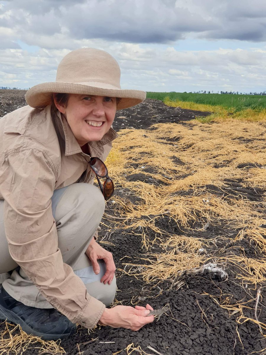 Jane Melville AM tweet media