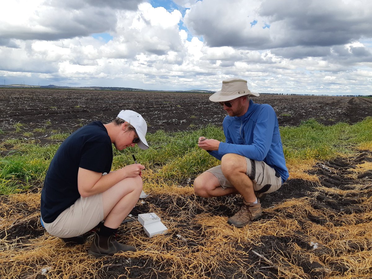 Jane Melville AM tweet media