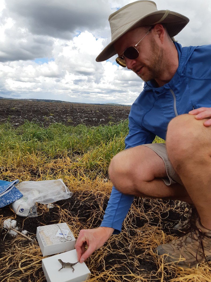 Jane Melville AM tweet media