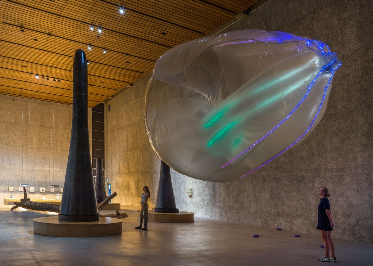 This weekend is your last chance to visit the exhibition by Tue Greenfort. EQUILIBRIUM is an expansive installation, consisting of a variety of new & some earlier works that occupies the entire NAVE of ST. AGNES.

📅 until 2 OCTOBER
📍   ST. AGNES | NAVE

© R. März
#tuegreenfort