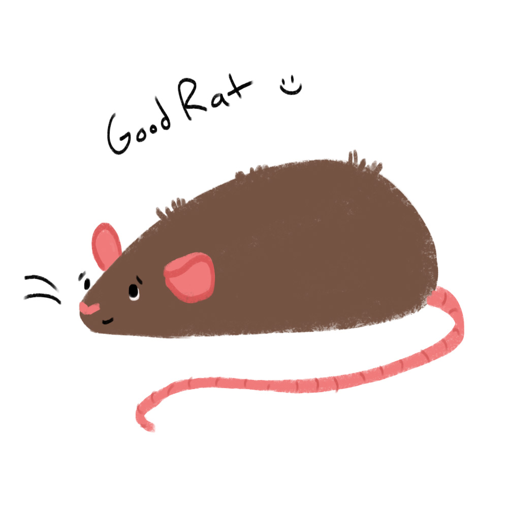 Linwailz's tweet photo. Happy Rattober everyone:) 
Day 1 - Good Rat
#rattober2022 #rattober #beansrattober #goodrat https://t.co/Toeu75JEsH