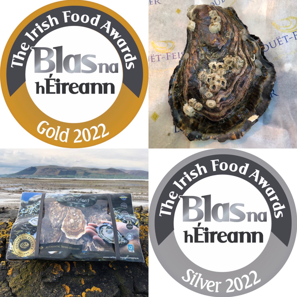 Carlingford Oysters tweet media