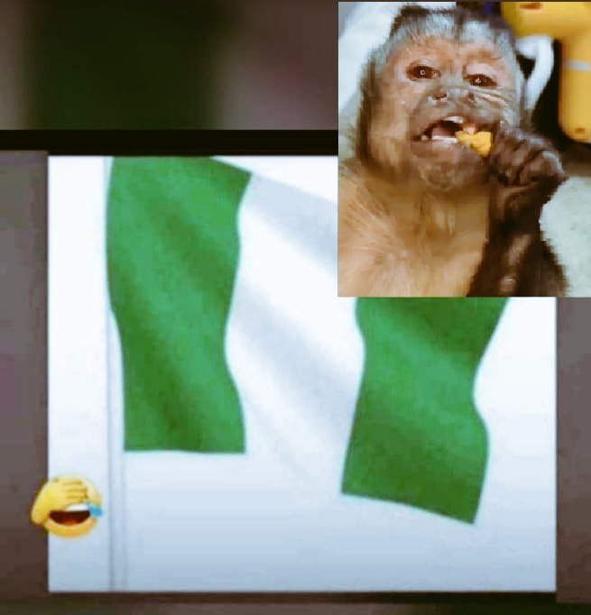STARRYTEE1's tweet photo. 🤜💫Happy birthday to you...na you know weda you go better or not ooh... Cuz we don see shege oo💔💔😂😂 https://t.co/YDxdjhjePx