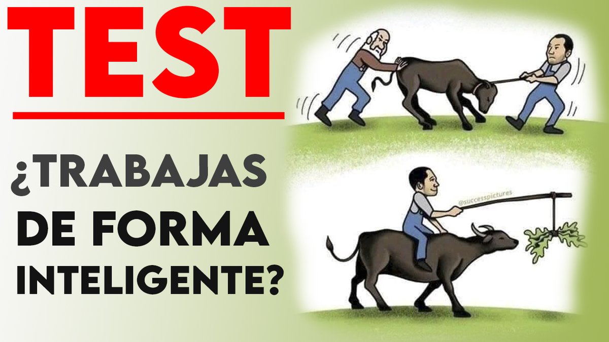 Sdesalvaje's tweet image. [ TRABAJAR DURO ] no es lo importante

Lo que importa es [ TRABAJAR DE FORMA INTELIGENTE ]

Por eso te traigo este [ TEST DE INTELIGENCIA ] que te ayudara a saber si trabajas de forma inteligente ⇩

【 EN MENOS DE 1 MINUTO 】

[ H I L O ]