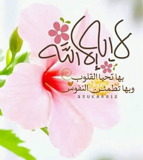 #شيء_ماتعرفوه_عني 

،

يقيني بأن الله معي هو قوتي الخالدة،
التي تجعلني أخوض الحياة بكل شموخ
 إذا تخلى عني الأقربون آنست قربه
 وإذا أطبقت علي الكروب انتظرت مدده
 وإذا  ألهتني الذنوب وسعتني رحمته
أقرب حفيظ وأقوى نصير
هو الملاذ ونعم الوكيل 
،

،