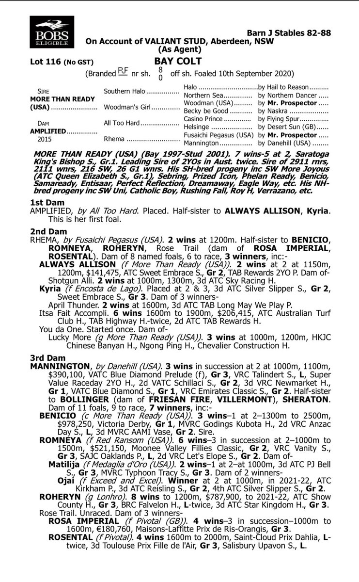 GrangeWoodville's tweet photo. Encryption X Love in Spring @eurekastud Colt 10.24 seconds and More Then Ready X Amplified @VineryStud Gelding 10.40 seconds showed what a wonderful prep and education they recieved from Robert Quinn Racing in the @inglis_sales breeze ups for the Ready 2 Race Sales. @StudValiant https://t.co/gEP6EwhoN4