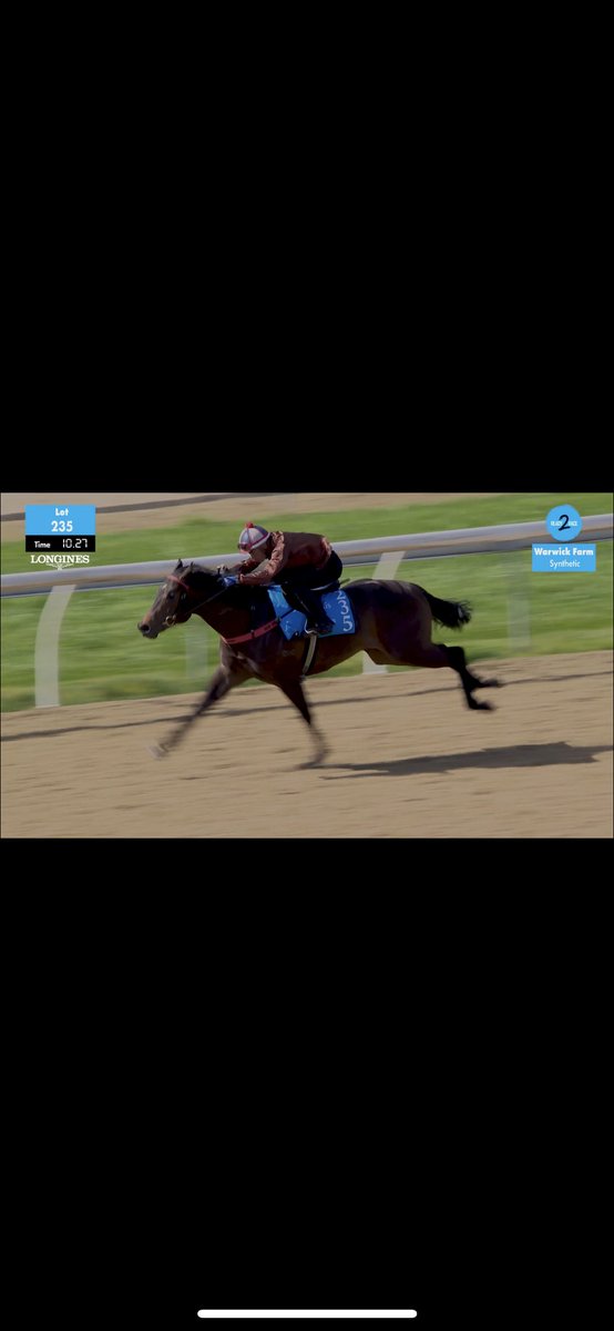 GrangeWoodville's tweet photo. Encryption X Love in Spring @eurekastud Colt 10.24 seconds and More Then Ready X Amplified @VineryStud Gelding 10.40 seconds showed what a wonderful prep and education they recieved from Robert Quinn Racing in the @inglis_sales breeze ups for the Ready 2 Race Sales. @StudValiant https://t.co/gEP6EwhoN4