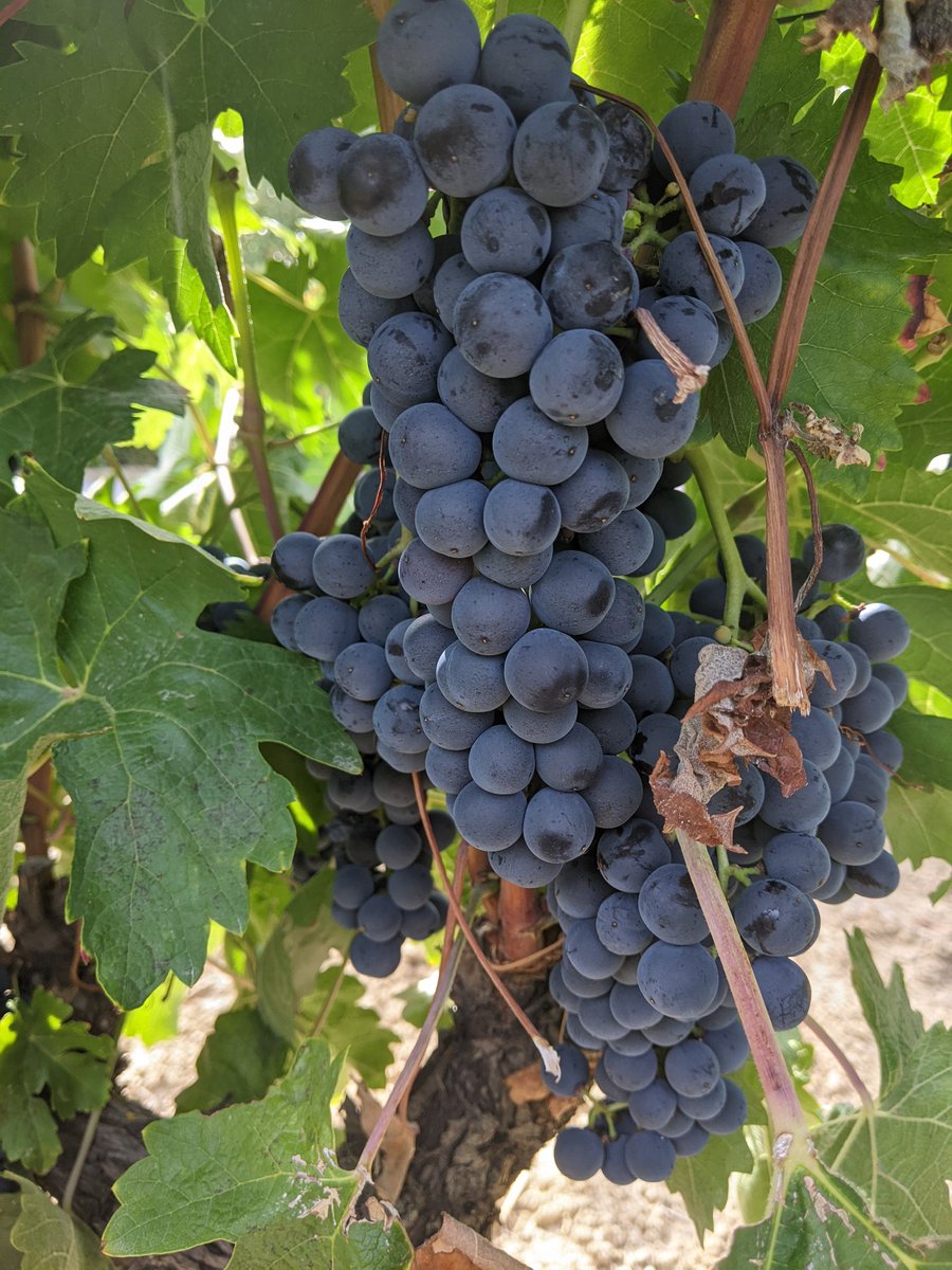 I'm a bit sad to be leaving Logroño, the hometown of a truly inspiring event, <a href="/NSSpain/">NSSpain XIII</a>. It was all about exchanging ideas and knowledge with highly talented people, combined with simply having fun together, exploring the local culture. Thank you all for this amazing experience!