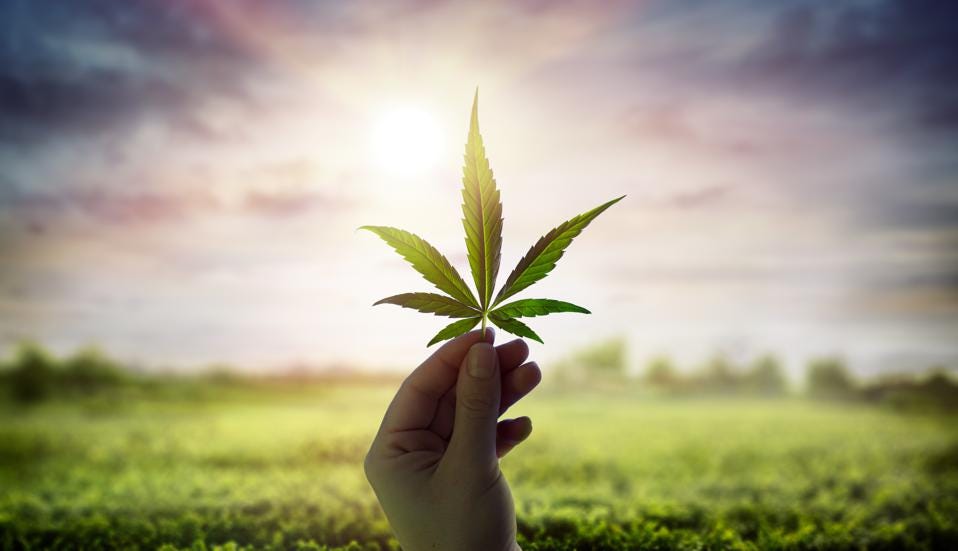 CryptoCannaClub's tweet photo. GM

Start your week off right!

#CCC #NFT #Crypto #Toker #GM https://t.co/Tti9nxxrJ4