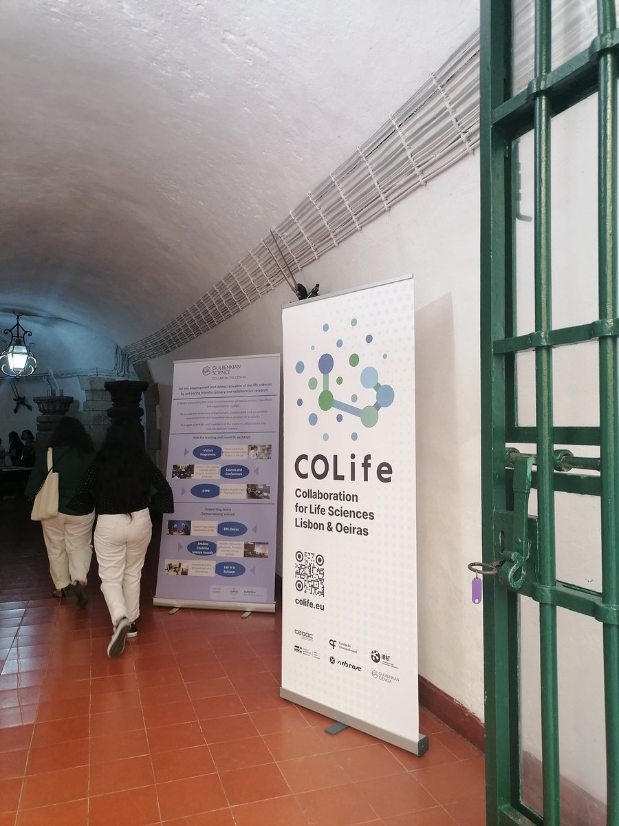 Romana Yáñez tweet media